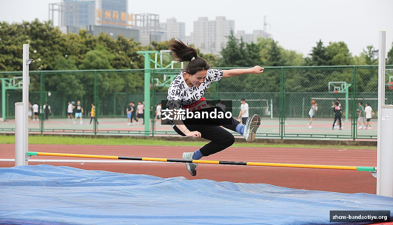 交流bandao